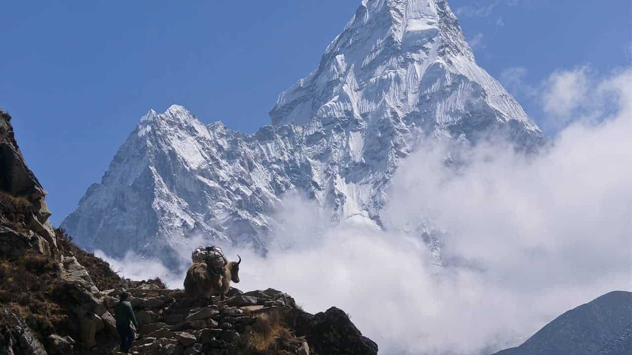 highest peak Mount Everest