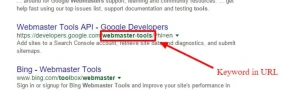 Keyword in URL